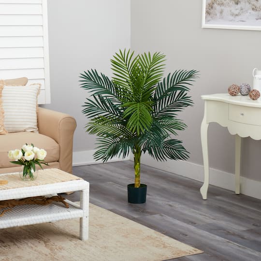 4ft. Potted Golden Cane Palm Tree